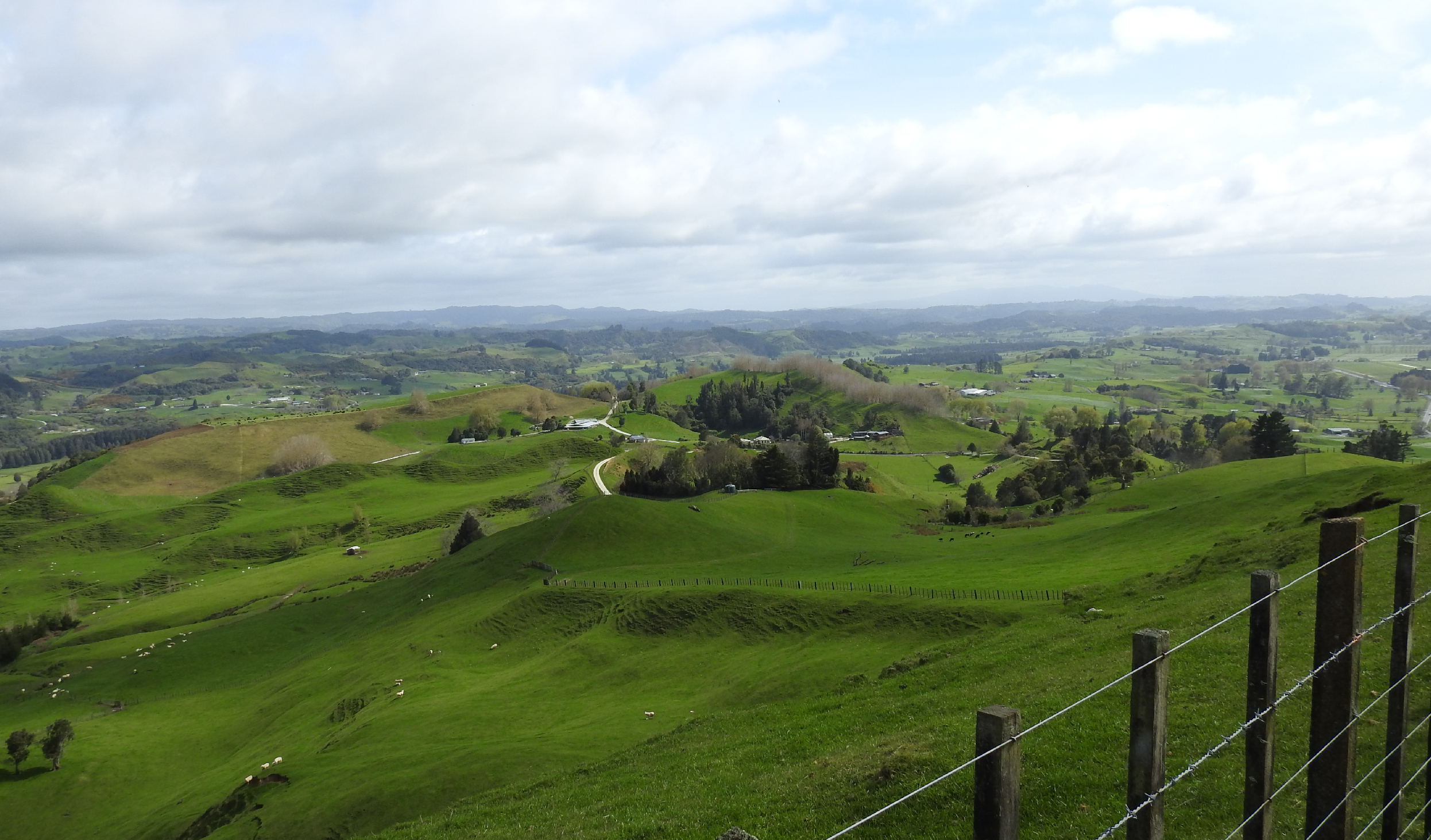 View of Rural King Country